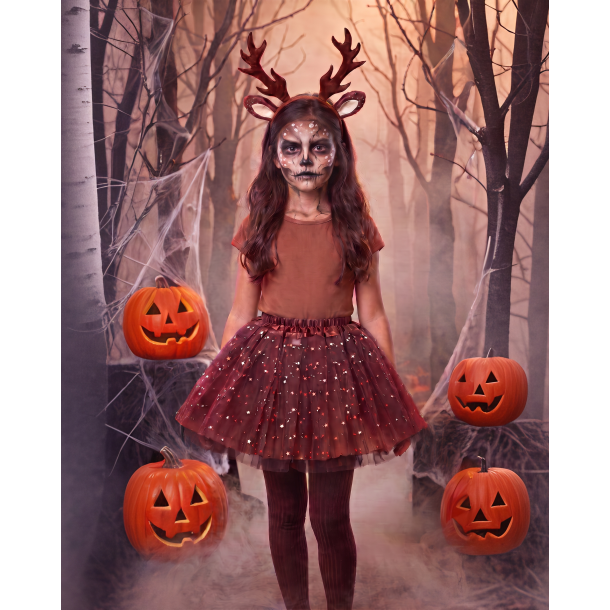 The DEER s�t 